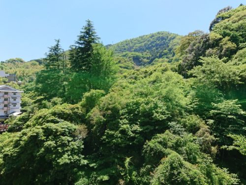 九州地方大分県を語る！ 意外とあった旅行の思い出