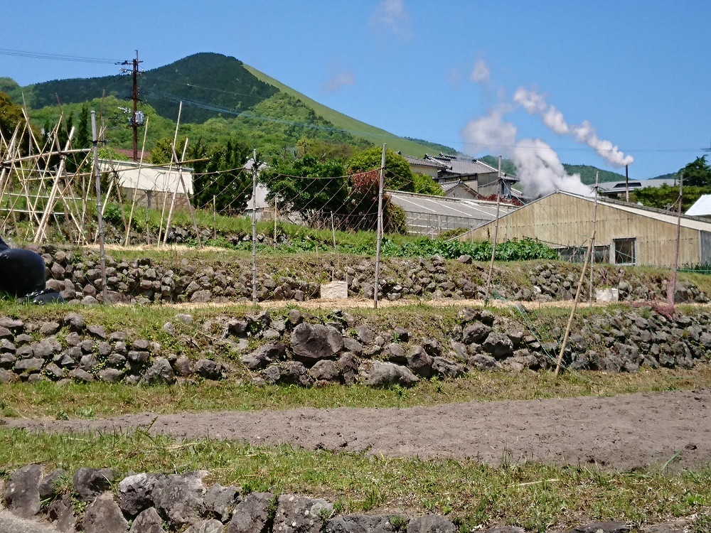 湯けむりと鶴見岳と畑