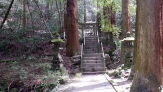 鳥居と階段の光景