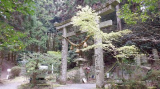 両子寺敷地内の年季の入った鳥居