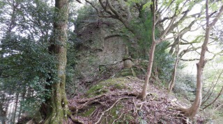 両子寺内にある森の遊歩道