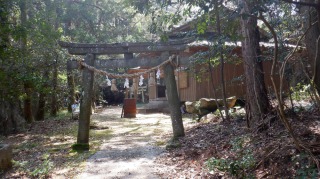 日吉神社の鳥居