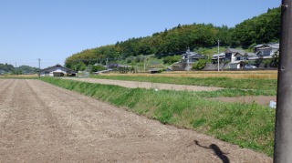 原尻の滝周辺に広がる田畑