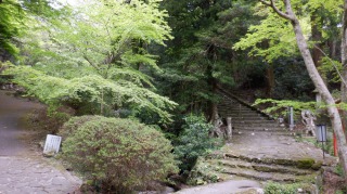両子寺の上に登る階段