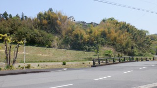 臼杵石仏駐車場前の道路