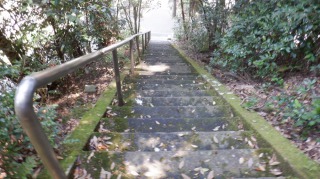 手すり付き階段と周辺の光景