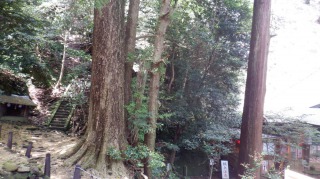 文殊仙寺奥の院と急な階段と木々の光景