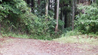 一ノ宮八幡社から見た遊歩道