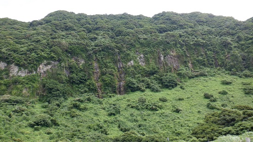 生月島内の緑が映える岩場