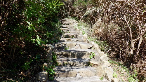 佐多岬遊歩道内の登り階段