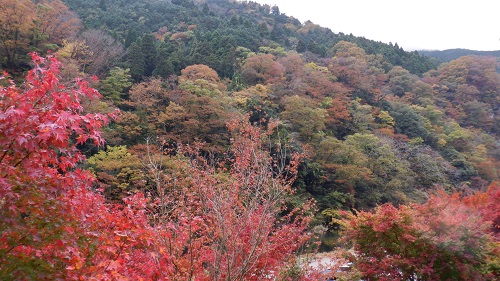 湯原温泉の紅葉