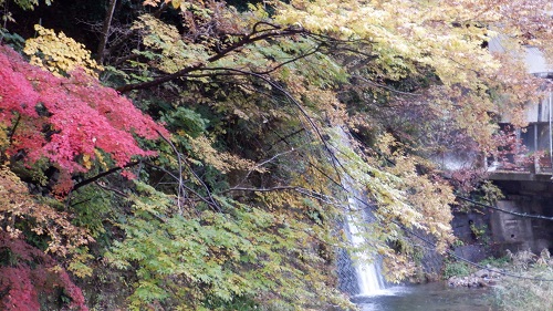 湯原温泉内の川と紅葉の景色