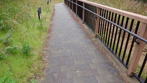 鳥取砂丘へ向かう通路