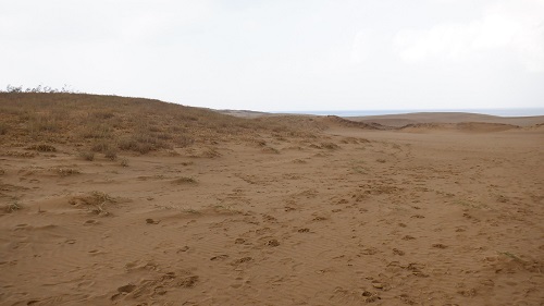 砂に囲まれている鳥取砂丘の光景