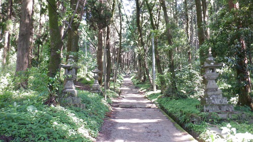 森の中を思わせる上色見熊野座神社の参道