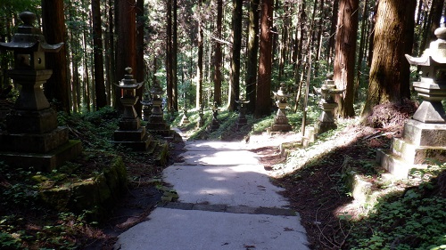 灯篭と木々が立ち並ぶ上色見熊野座神社の参道