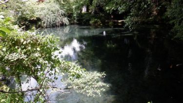 熊本県南阿蘇村の湧水！【群塚神社】境内にある【明神池名水公園】