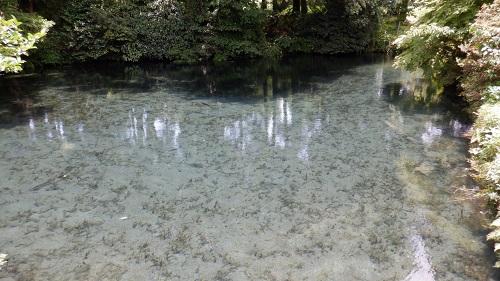 ガラスのように広がる明神池とその周辺