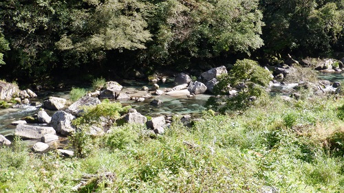雄川の滝遊歩道から見た川の景色