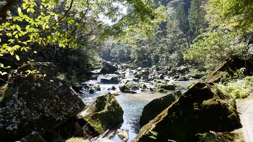 雄川の滝から流れるエメラルドグリーンの川