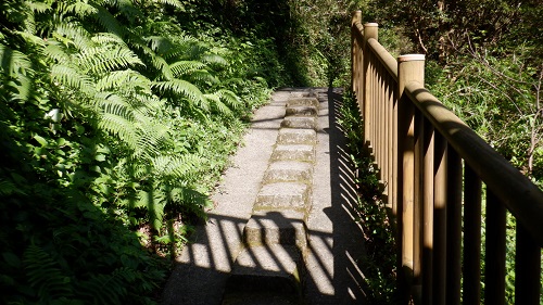 階段状になっている雄川の滝遊歩道