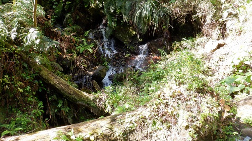 雄川の滝遊歩道で静かに流れる小さな滝