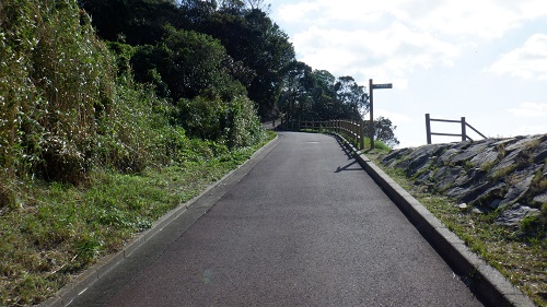 神崎鼻公園内の遊歩道