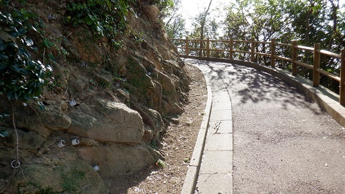 神崎鼻公園の上り坂になる遊歩道