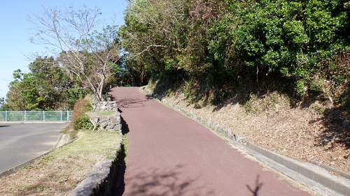 権現山展望台への遊歩道