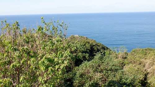 樺島灯台周辺に広がる海