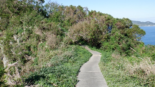 樺島灯台下展望台遊歩道と緑が映える周辺