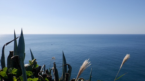 樺島灯台下展望台から見える海とススキ
