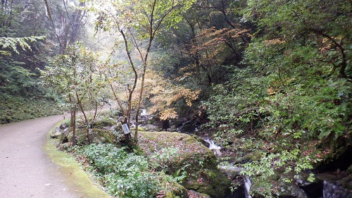 神庭の滝遊歩道と流れる川