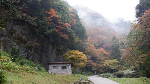 神庭の滝遊歩道と周辺の光景