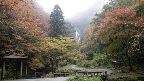 遊歩道から遠目に見える神庭の滝