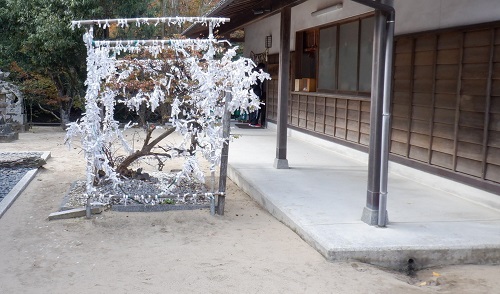 白兎神社敷地内のおみくじを結び付ける場所