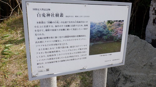 白兎神社樹叢の説明看板