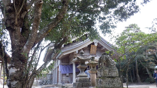 白兎神社の拝殿と周辺の景色