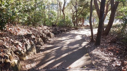 クルスの海展望台に続く遊歩道