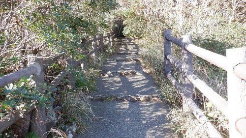 細島灯台への遊歩道