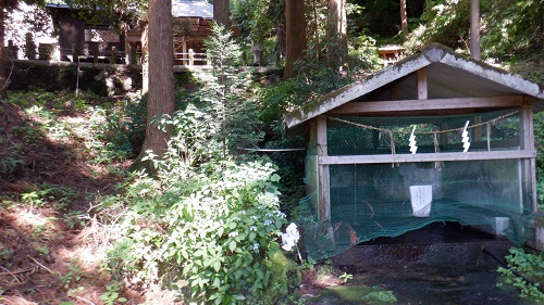 上洗川神社の湧水場所