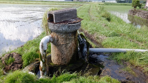 役犬原の自噴湧水群の湧水