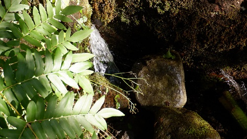 手野の名水が勢いよく噴き出している場所