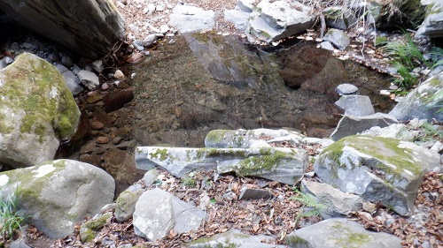 福貴野の滝の川の水