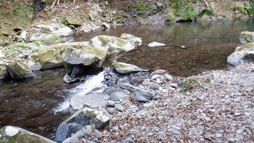 福貴野の滝から流れてくる川