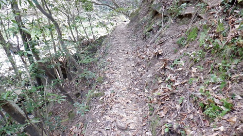 福貴野の滝の細い遊歩道