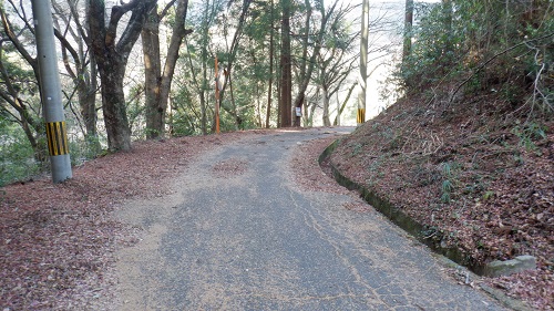 福貴野の滝展望台に続く道