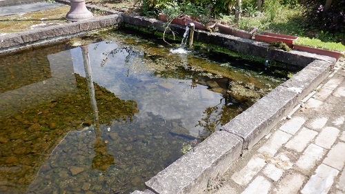 孔子公園内にある池