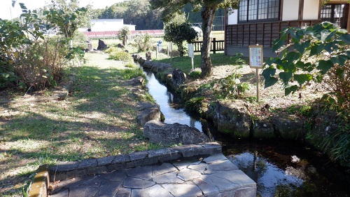 前川水源内で魚が泳ぐ小川