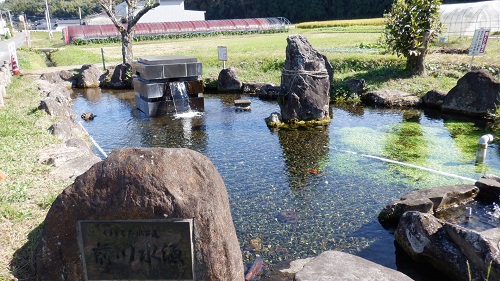 前川水源がある公園